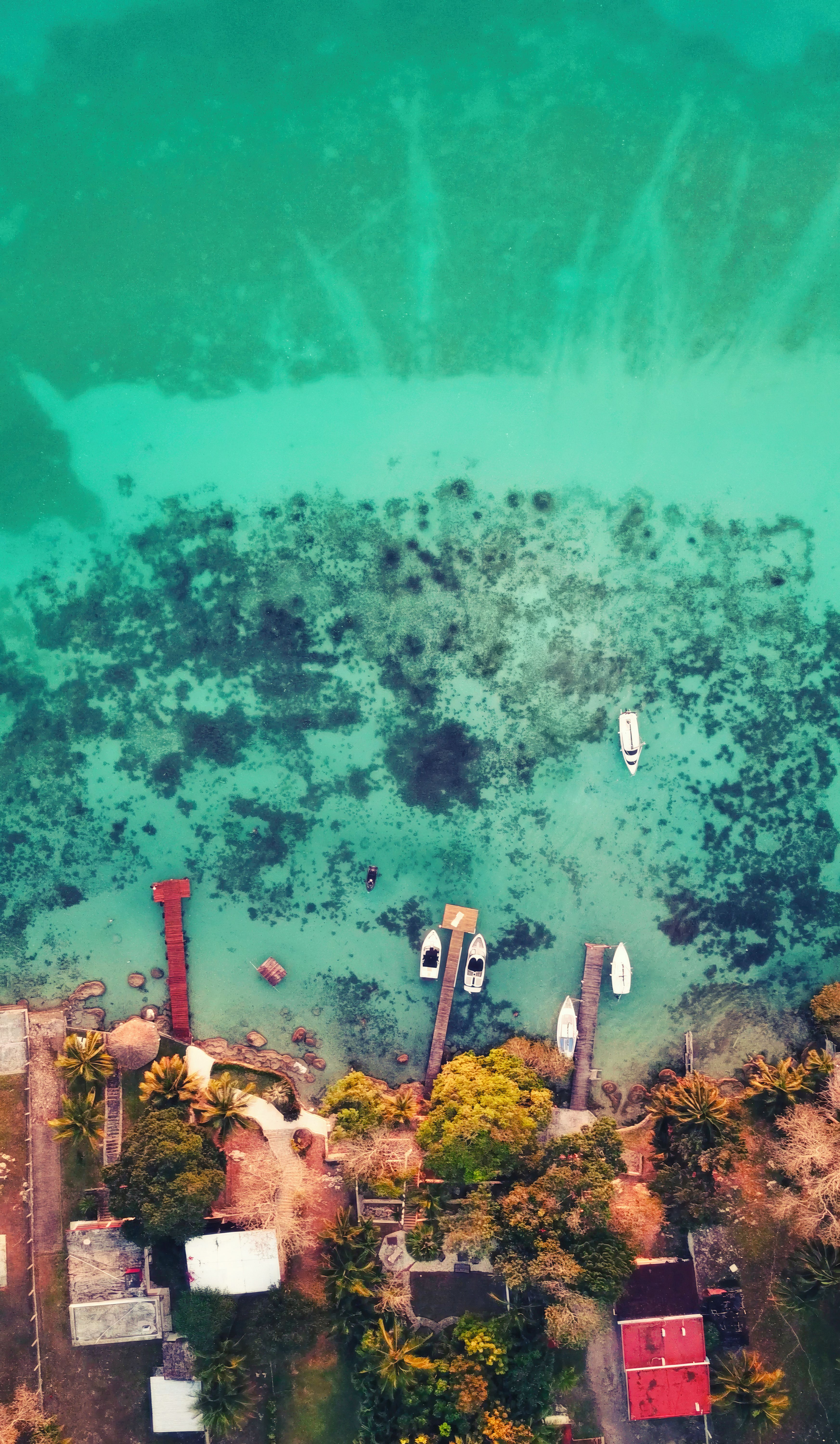 Placencia beach hotels in Belize